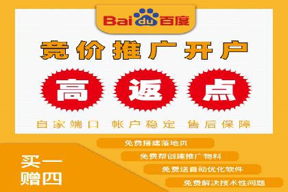 某公司通过竞价SEM优化搜索引擎排名案例